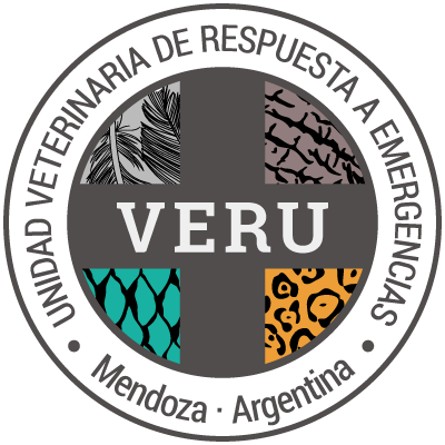 Grupo VERU