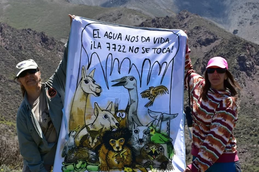 Incidencia y activismo ambiental